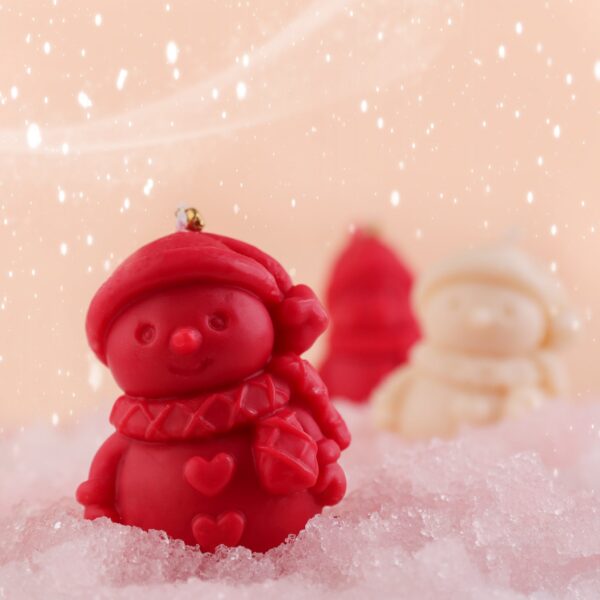 Winter Snowman Love